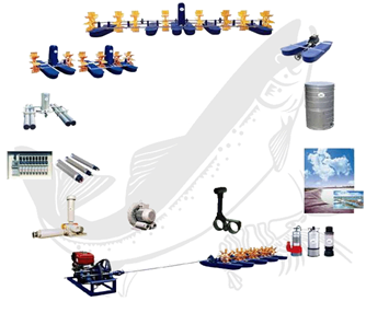 Feasibility study of climate-resilient integrated mangrove-aquaculture in Vinh Long Province